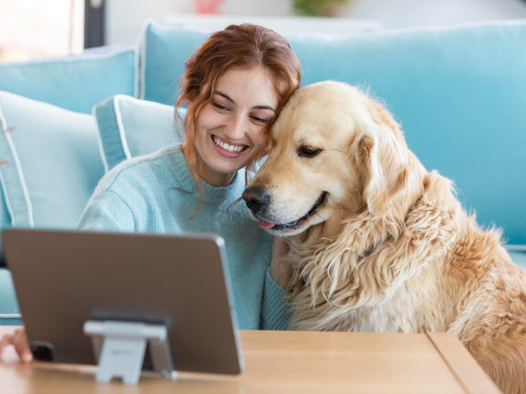 2148928975 pet insurance California helping cover veterinary care for dogs and cats